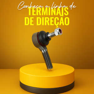Terminal de Direção